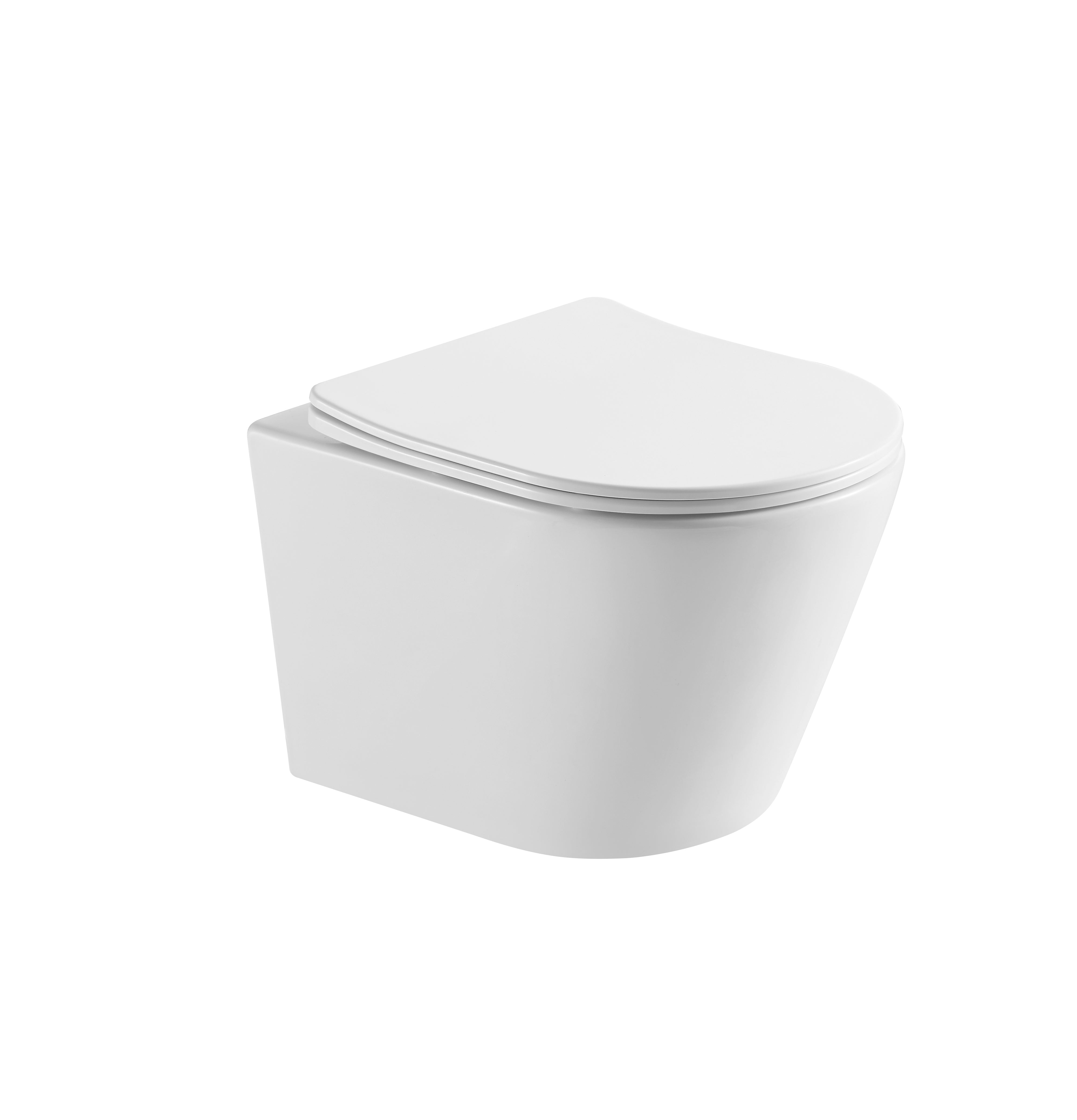 Bella Wall Hung Toilet Suite